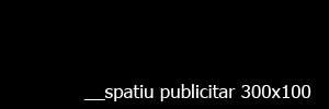 Spatiu publicitar pe www.hubsinfo.net