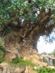 The Tree of Life - The Tree of Life